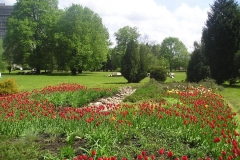 B-Bystrica_Park-pod-Muzeom-SNP